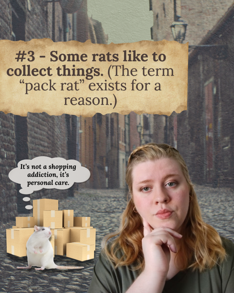 Illustration showing that rats naturally collect food and interesting objects for their nests.